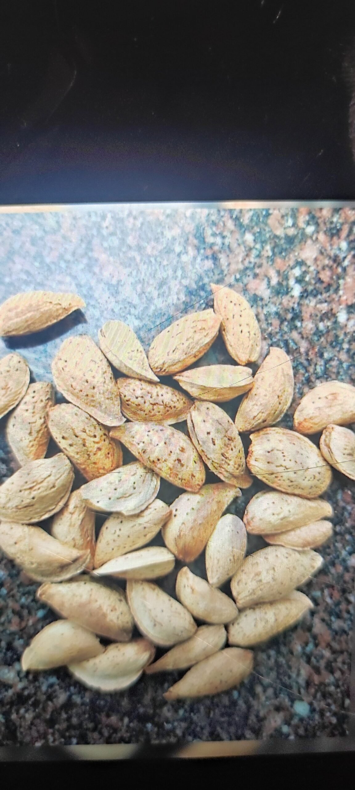 Kakzi Badam | Premium Kashmiri Almonds | Naturally Rich & Crunchy