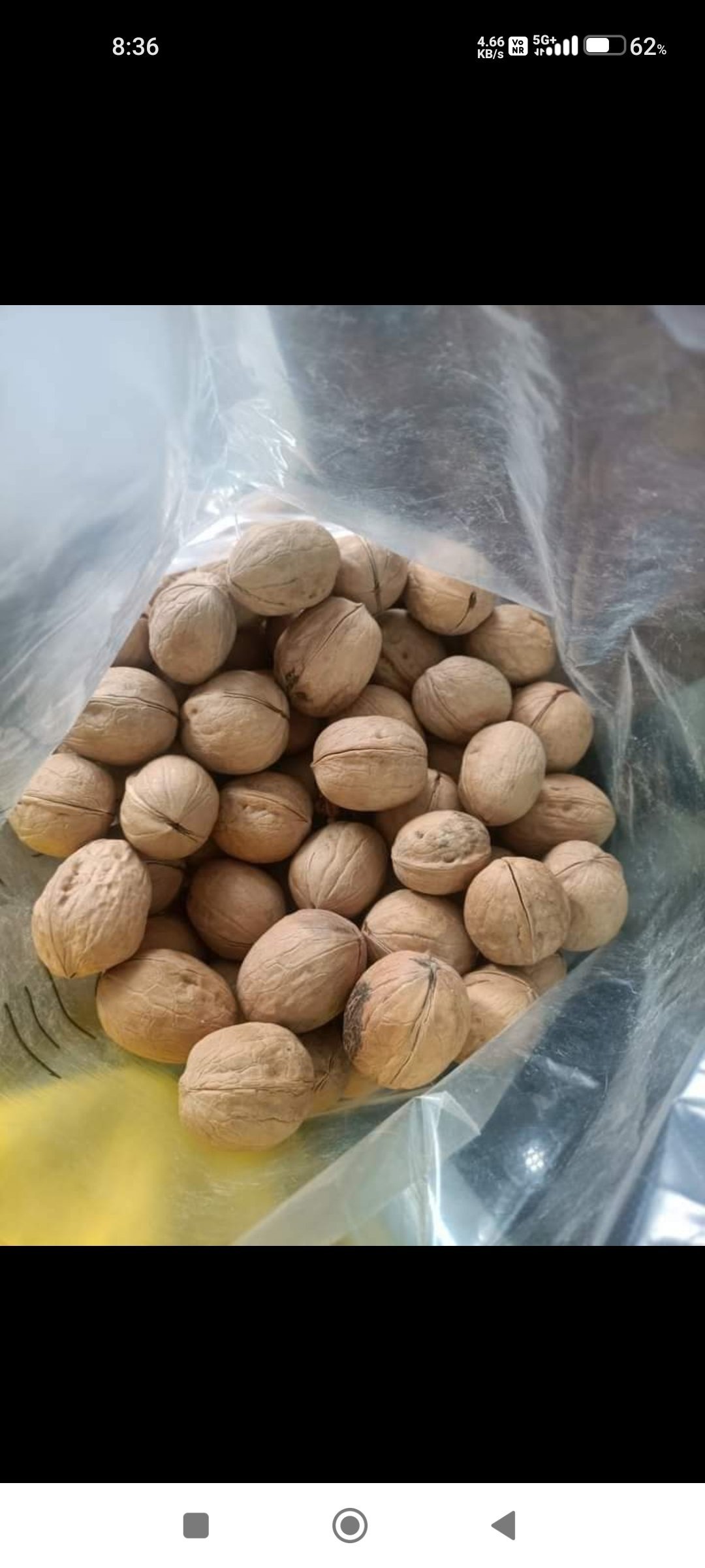 Walnut | Premium Kashmiri Walnuts | Naturally Rich & Crunchy