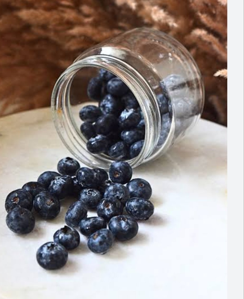 Blue Berry | Premium Dried Fruit | Sweet, Tangy & Fruity